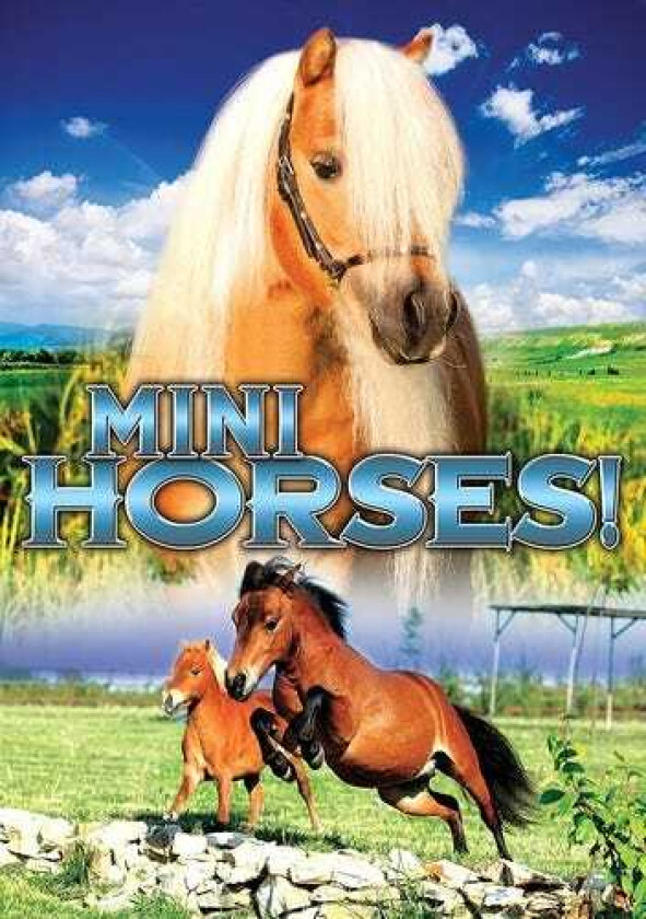 Mini Horses DVD