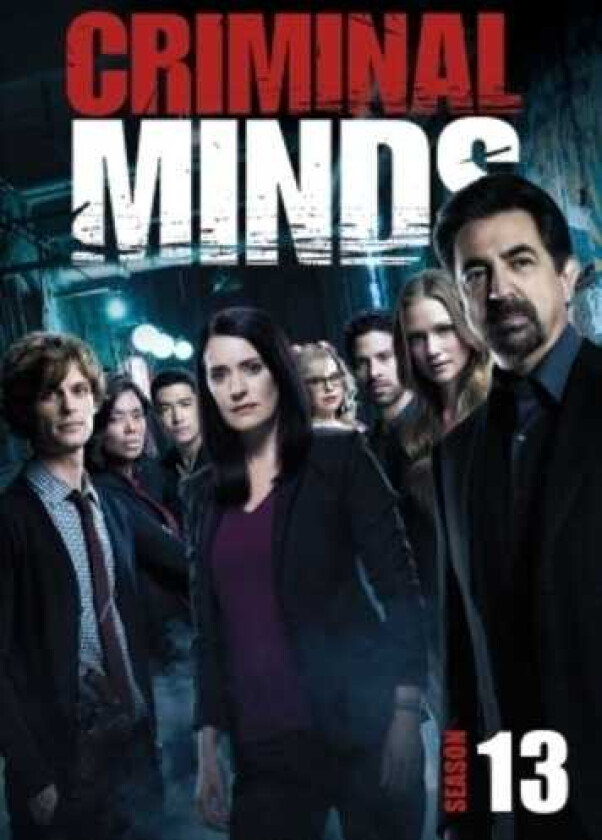 Criminal Minds: Thirteenth Season DVD