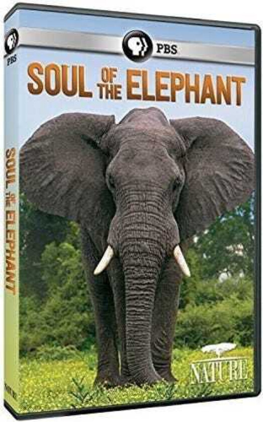 Nature: Soul Of The Elephant DVD