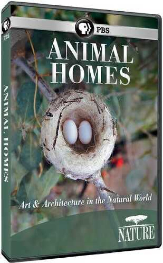 Nature: Animal Homes DVD