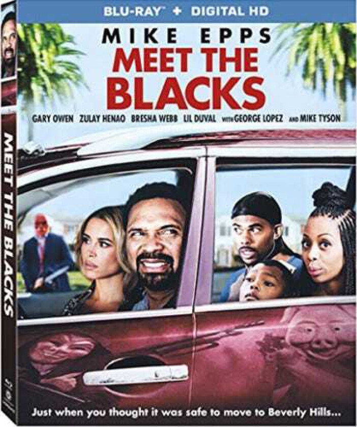 Meet The Blacks Bluray