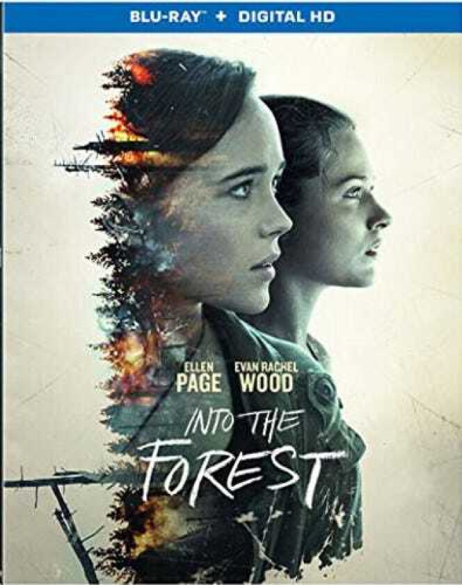 Into The Forest Bluray