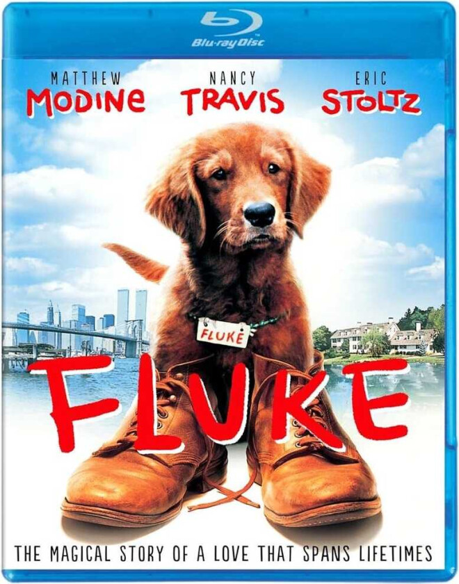 Fluke Bluray
