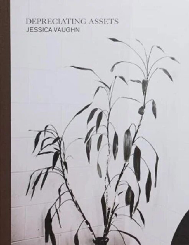 Depreciating Assets av Jessica Vaughn
