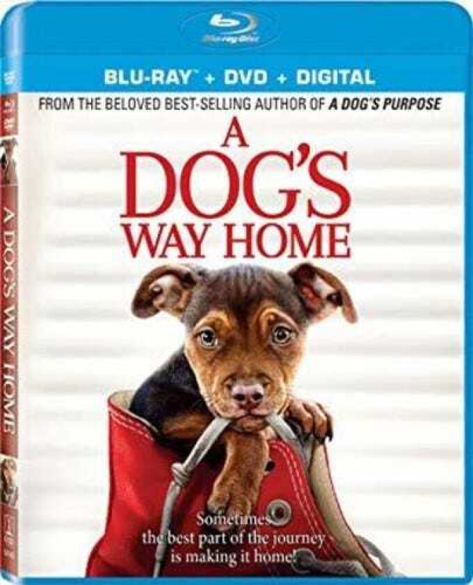 Dog's Way Home Bluray
