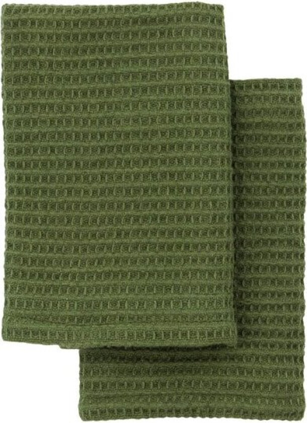 Bilde av Oppvaskklut 30x30 cm 2 stk grønn