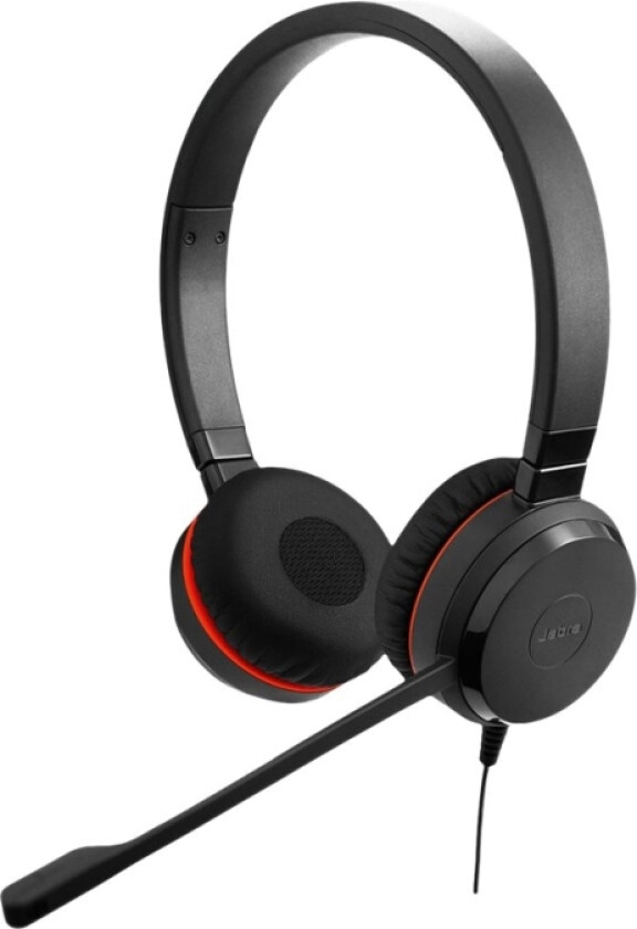 Jabra Evolve 20 Se Usb C/A Ms Stereo - Stereo