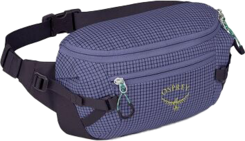 Transporter Waist Pack Euphoria Purple/Purple Ink