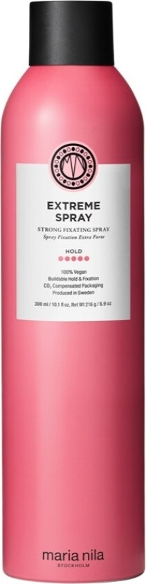 Style & Finish Extreme Spray 300ml