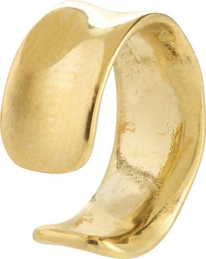 SKYLER ear cuff gullbelagt