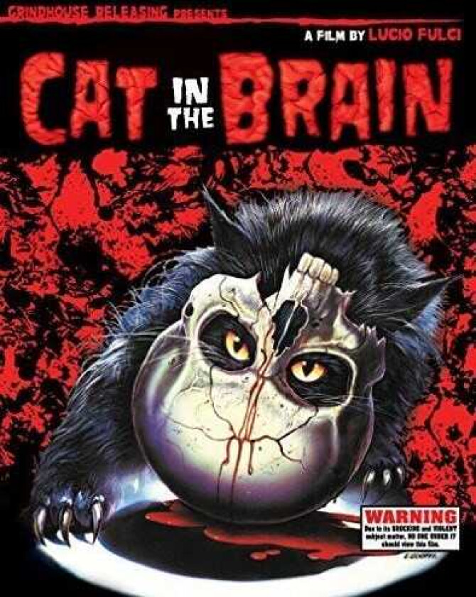 Cat In The Brain Bluray
