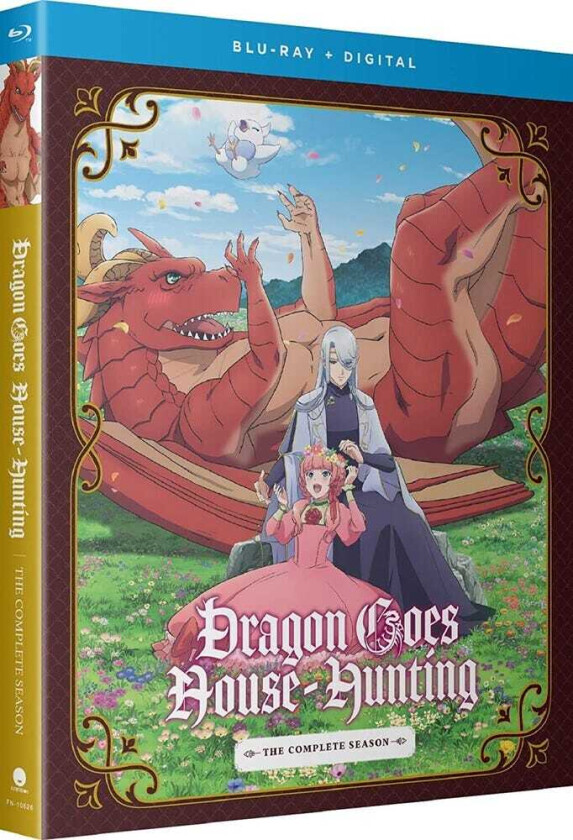 Dragon Goes HouseHunting: Complete Season Bluray