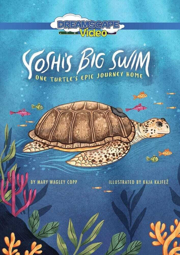 Yoshi's Big Swim DVD