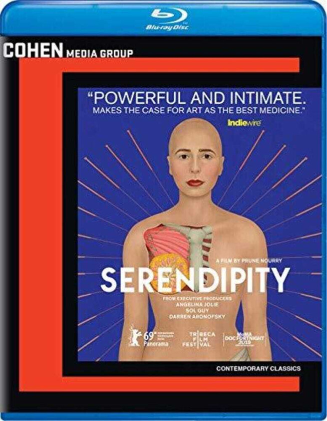 Serendipity Bluray
