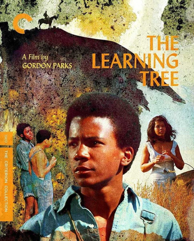 The Learning Tree Bluray