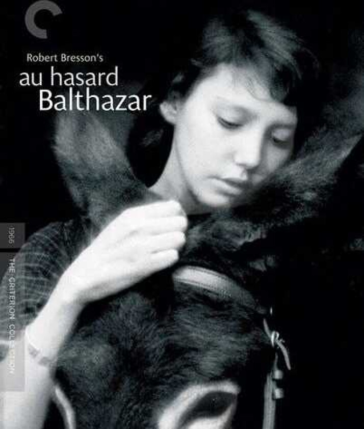 Au Hasard Balthazar Bluray