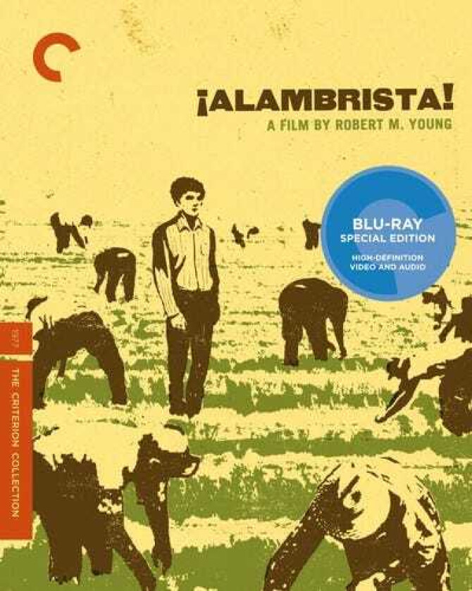 Alambrista Bluray