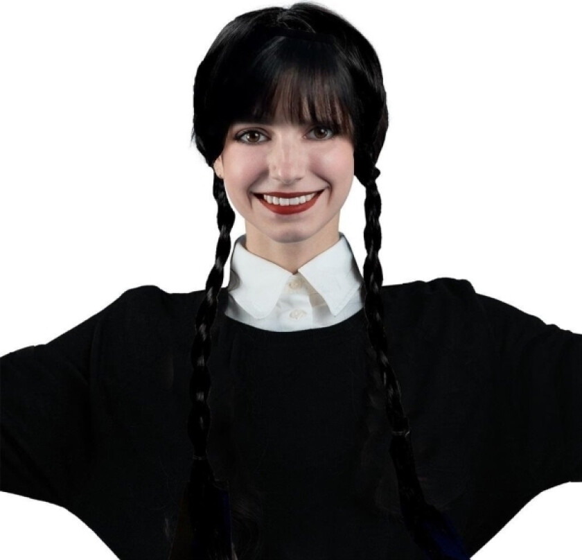 Wig With Braids
