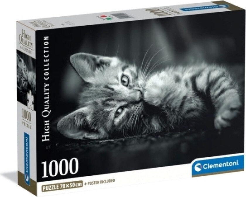 1000 Pcs. Cb High Quality Collection Kitty