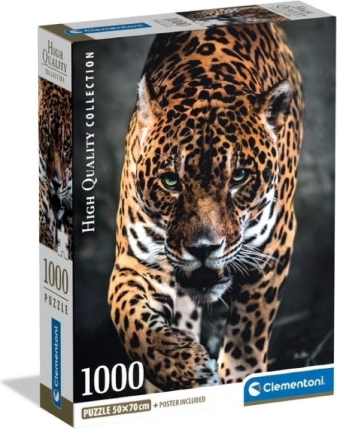 1000 Pcs. Cb High Quality Collection Walk Of The Jaguar