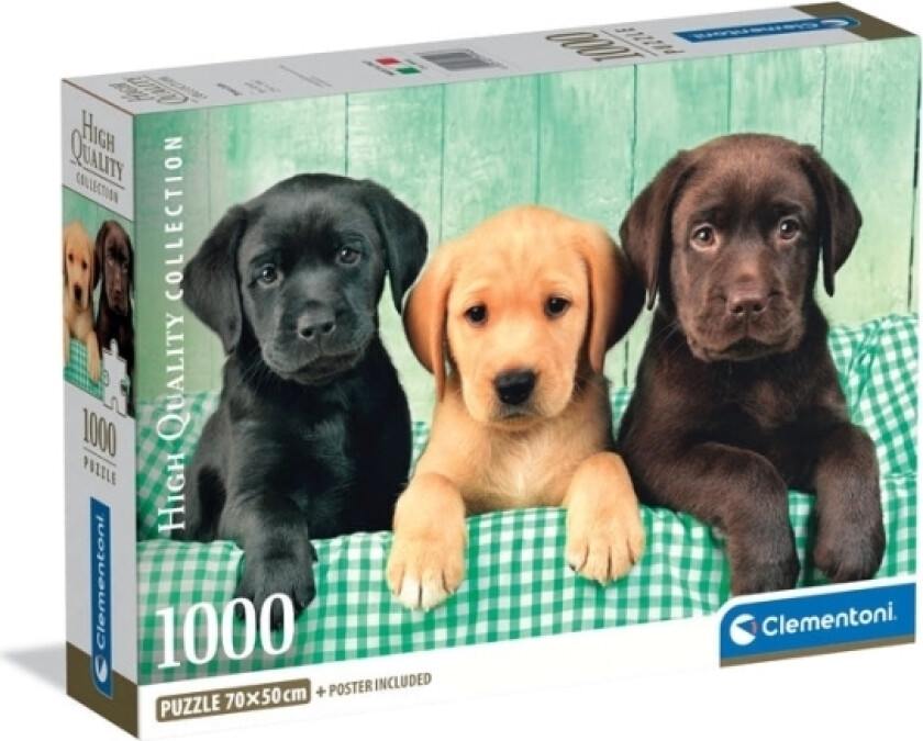 1000 Pcs. Cb High Quality Collection Three Labs