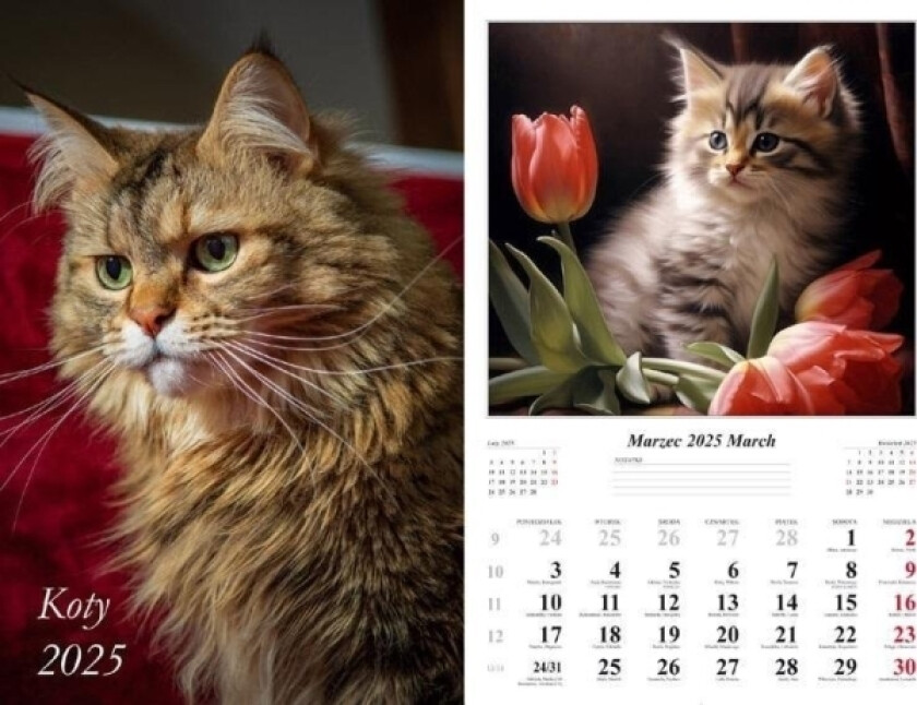 2025 Veggkalender Katter
