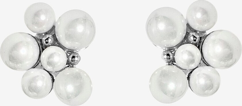 Øredobber Berry Pearl - Sølv