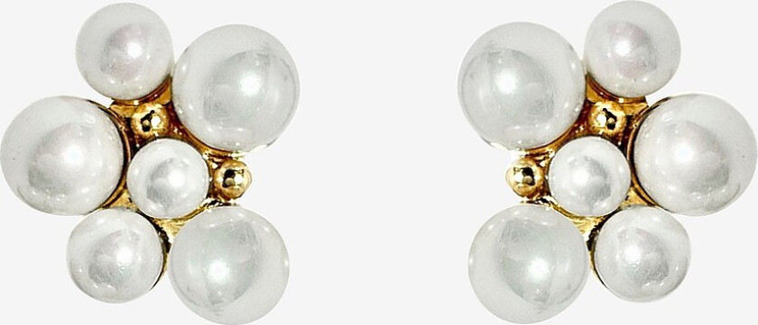 Øredobber Berry Pearl - Gull