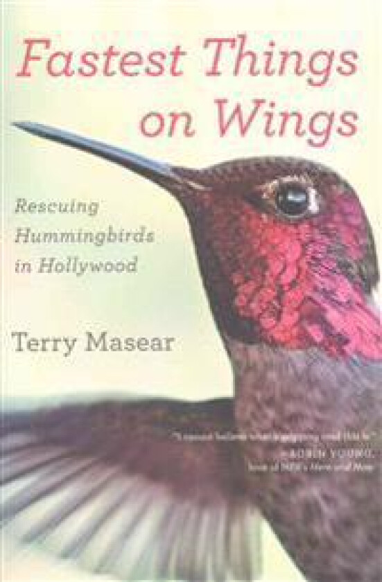 Fastest Things On Wings