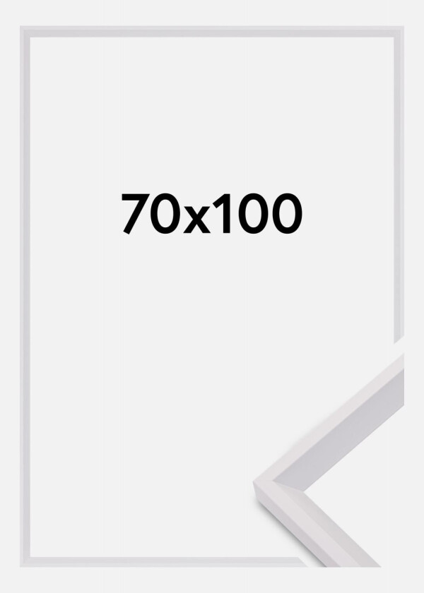 Ramme Globe Akrylglass Hvit 70x100 Cm