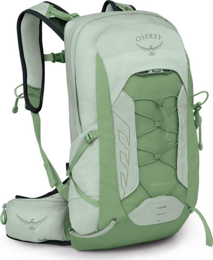 Women's Tempest 11 Frosty Mint Green/Botanica
