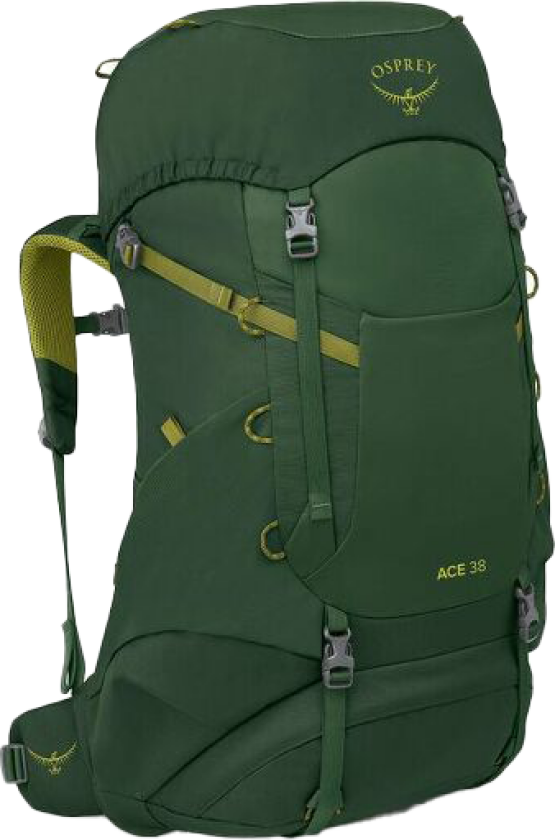 Kids' Ace 38 Green Canopy/matcha Green