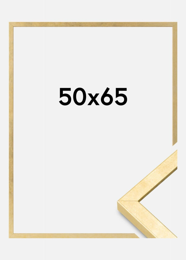 Ramme Ares Akrylglass Gull 50x65 Cm
