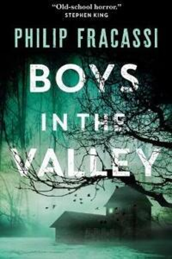 BOYS IN THE VALLEY