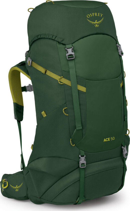 Kids' Ace 50 Green Canopy/matcha Green
