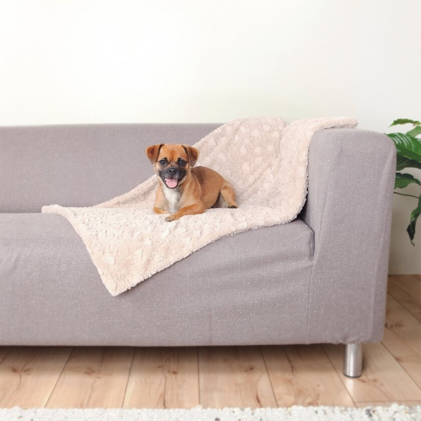 Bilde av Trixie Hundepledd Cozy (M)