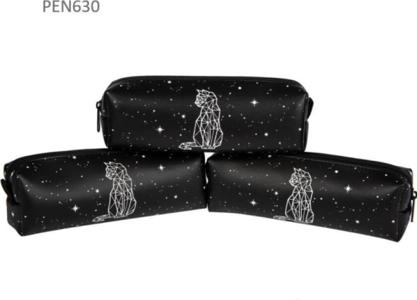 One-Compartment Pencil Case Star Constellation Cat