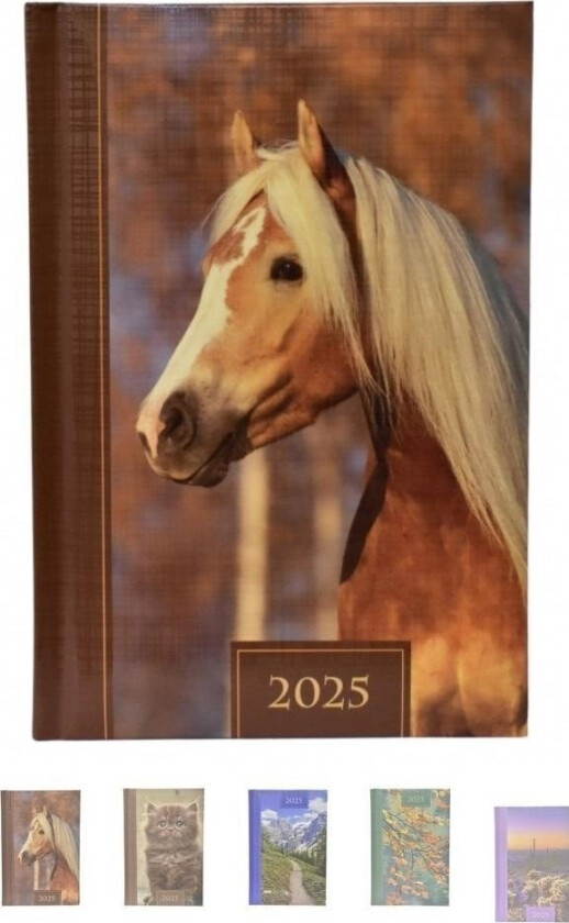 Kalender 2025 Daglig B6 Prismalux Mix