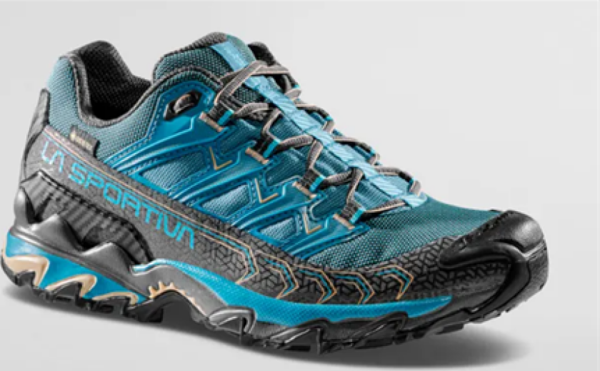 Ultra Raptor Ii Gtx Dame Topaz/Carbon 37.5