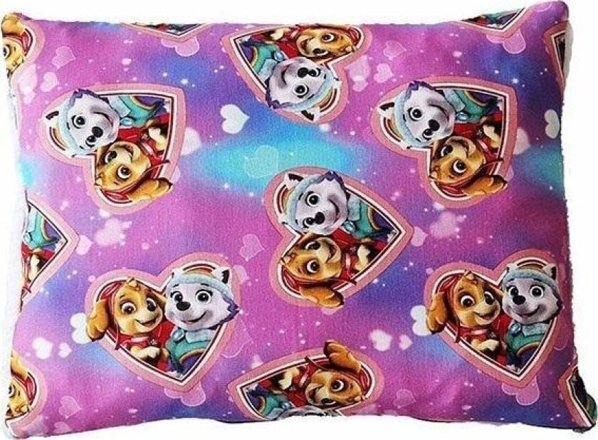 Roz-Ecrue Butterfly Pillow