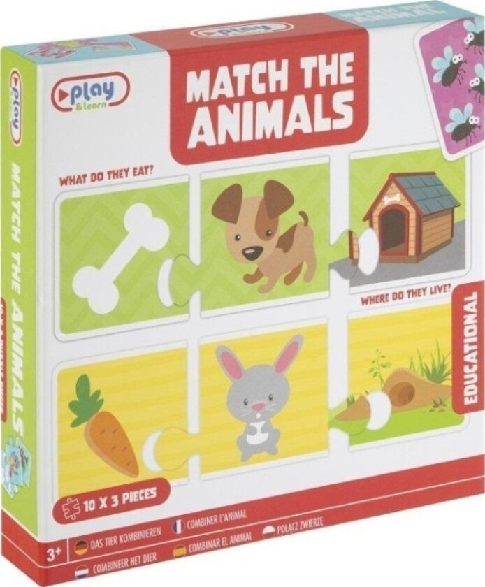 Dopasuj Pary Zwierzta