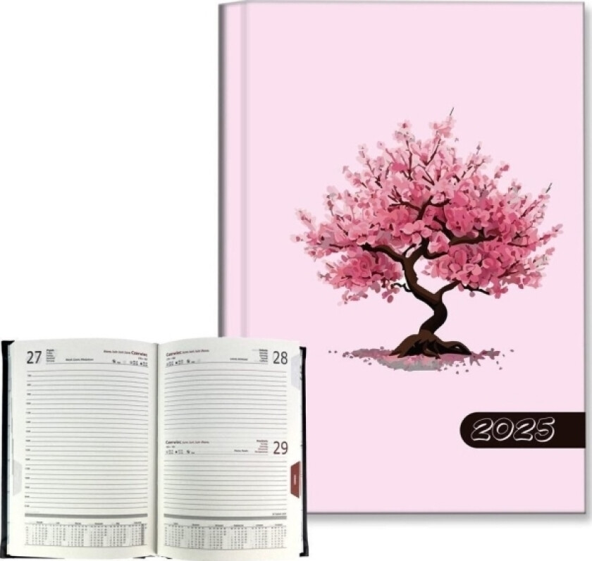 Kalender 2025 B6 Daglig Tre