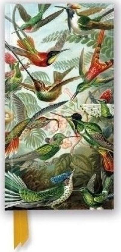 Notepad Line Tw Hummingbirds Ernst Haeckel