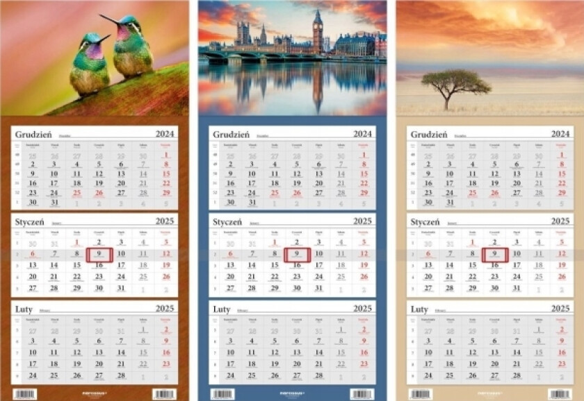 Kalender 2025 Tri-Fold LuxMix Helma