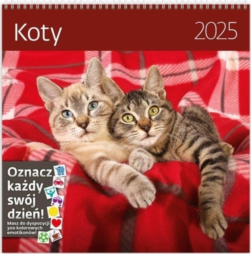 Kalender 2025 Vegg 30X30cm Katter Helma