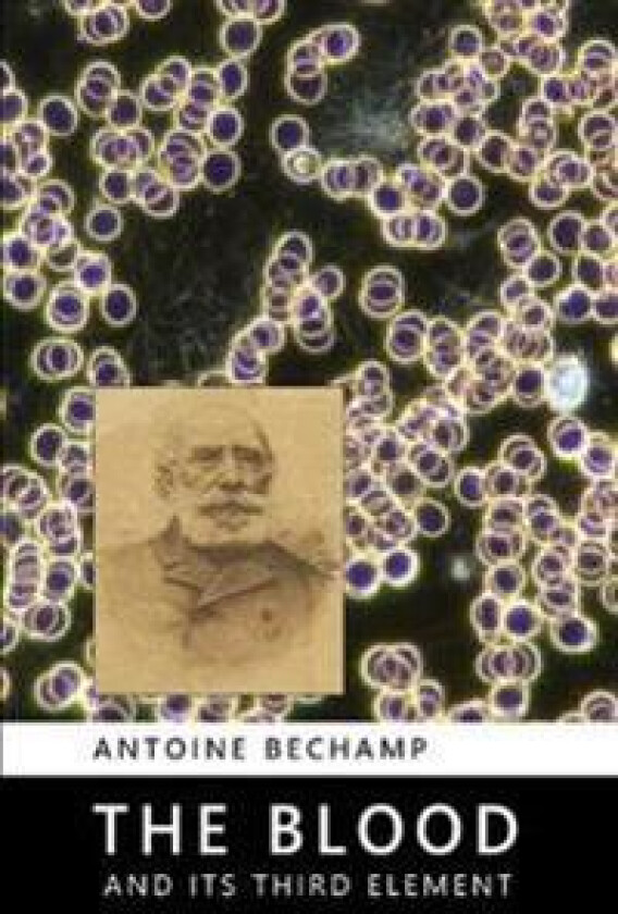 The Blood and Its Third Element