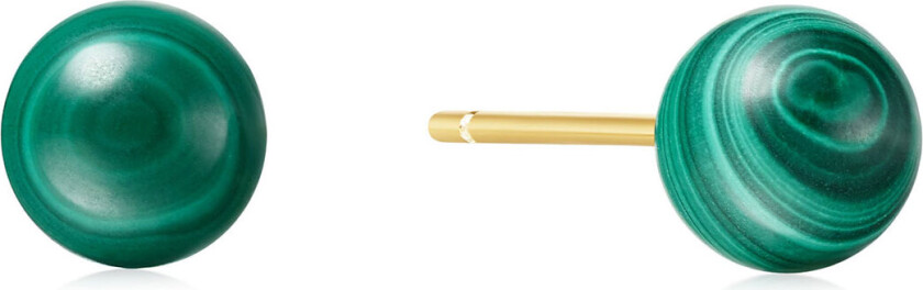 Øredobber i forgylt 925 sølv med grønn malakitt