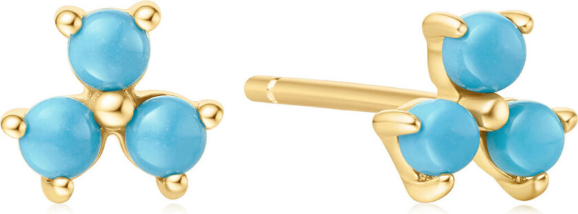 Øredobber i forgylt 925 sølv med turkis sten