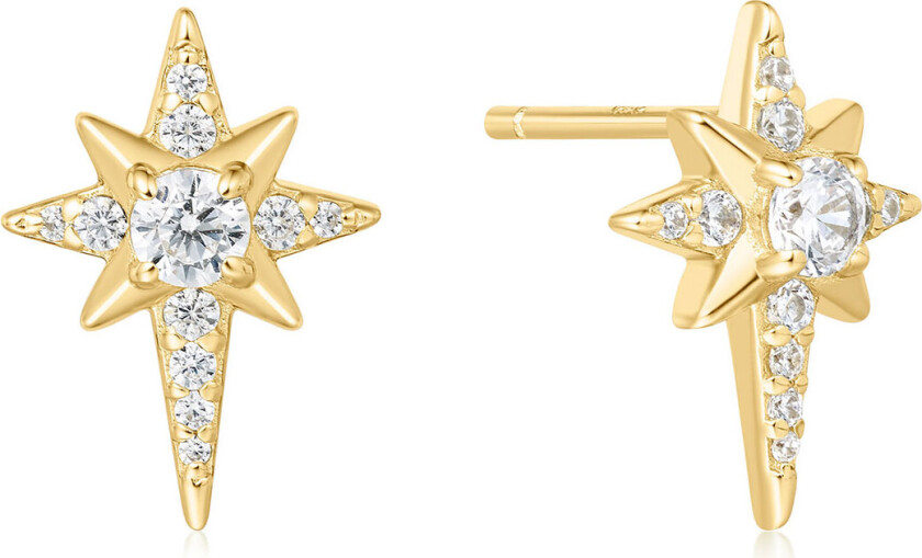 Øredobber i forgylt 925 sølv med zirkonia