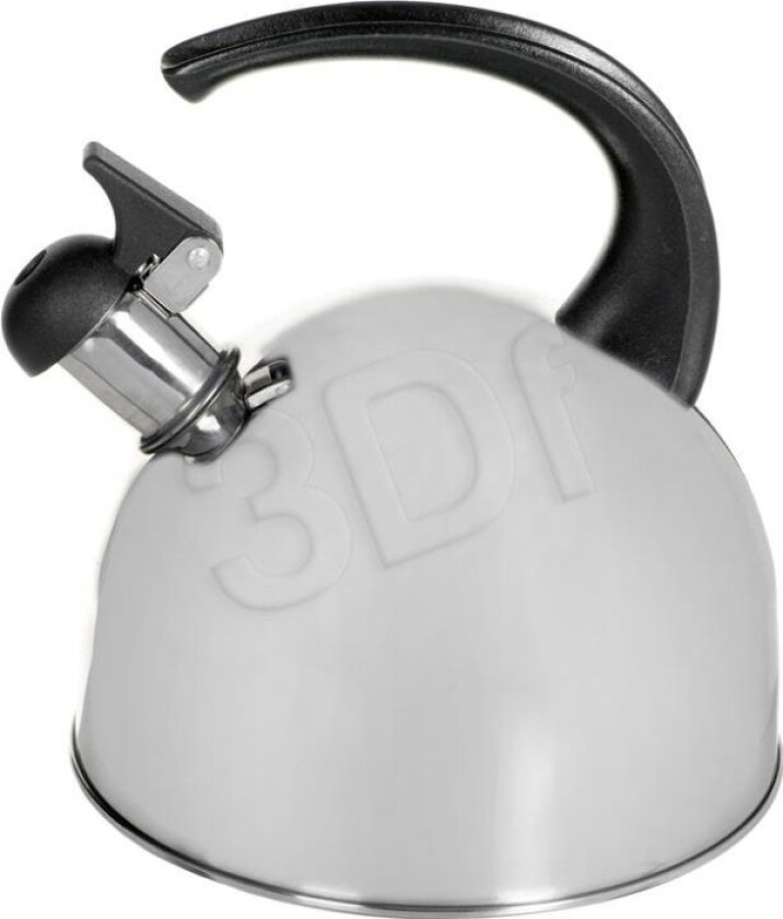 5C6891 Florina Virdulys, 2L